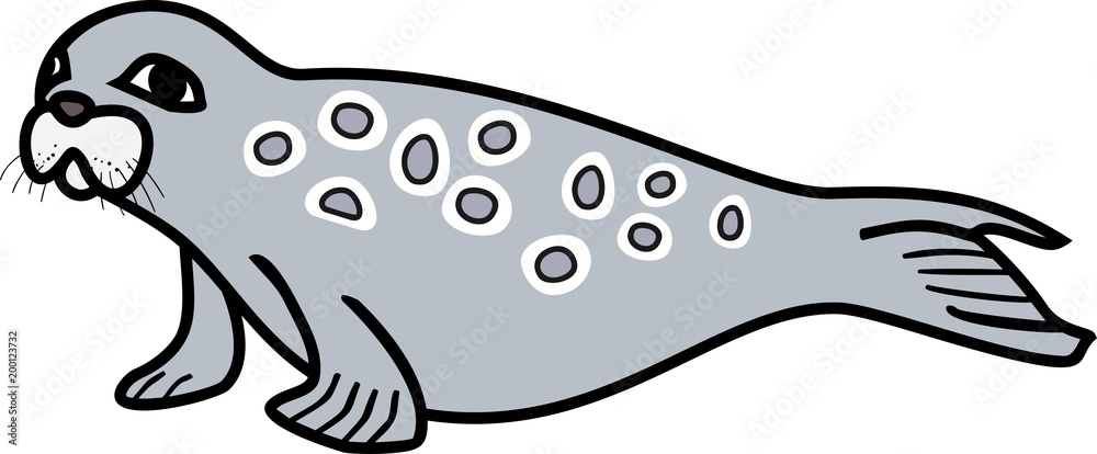 Cute cartoon Ringed seal on white background Cute cartoon Ringed seal on white background