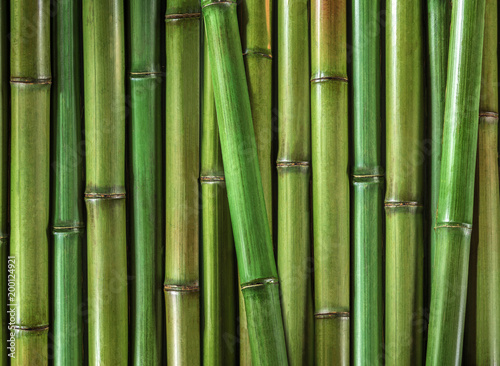 Natural bamboo green background