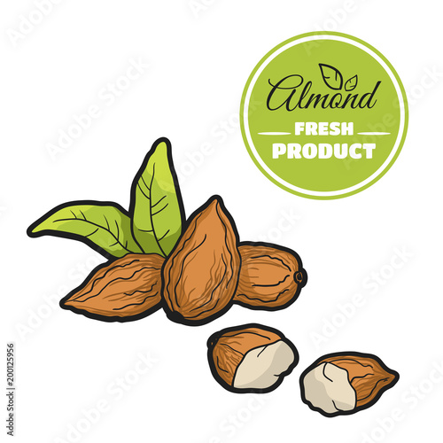 Colored Almond On White