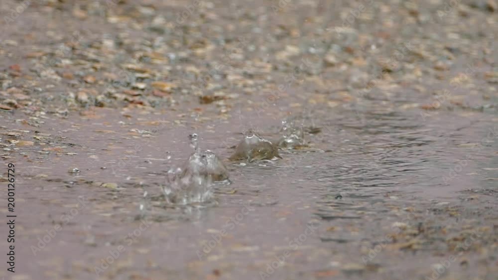 drops of water fall into a puddle. Slow motion. drops of water fall into a puddle. Slow motion.