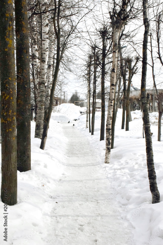 snow melts on the Park alley