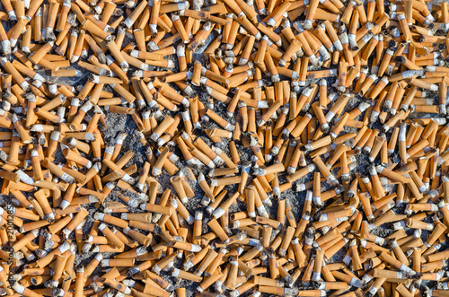 Garbage from large number of cigarette butts, background