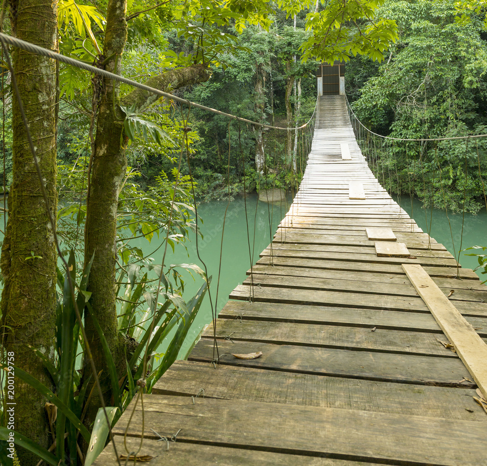 Bridge In Rio Blanco National Park Belize Bridge In Rio Blanco National Park Belize