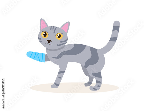 Cat with a broken leg Vector. Cartoon