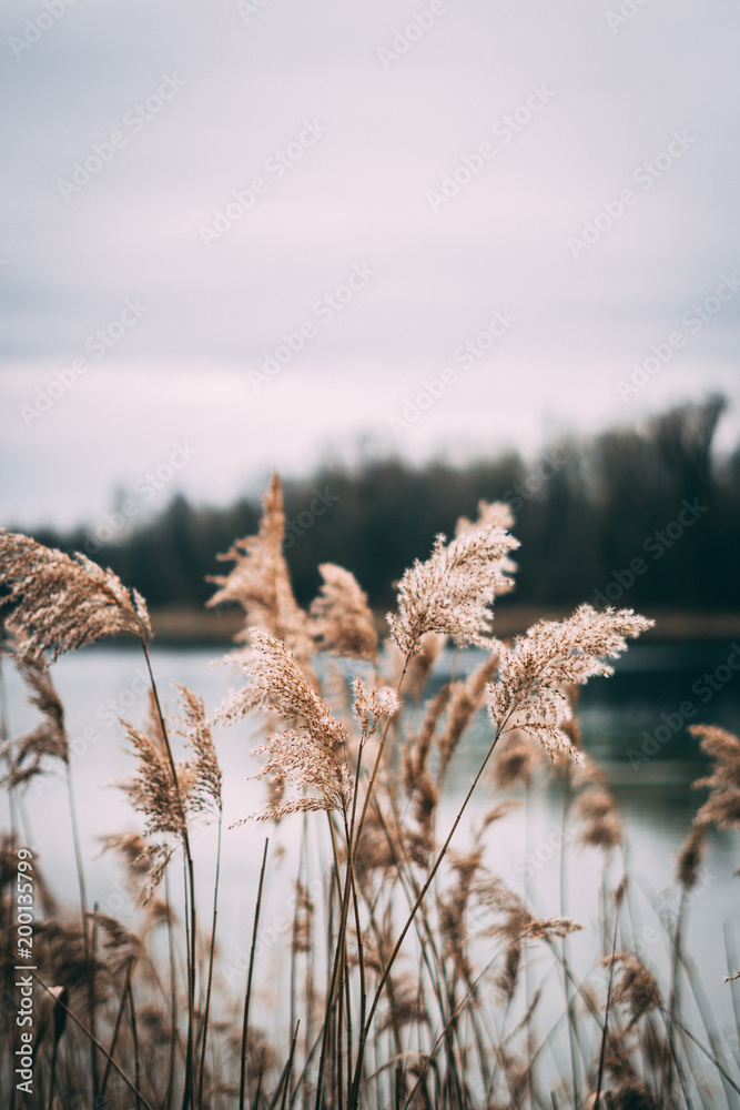 Fototapeta premium Summer is comming