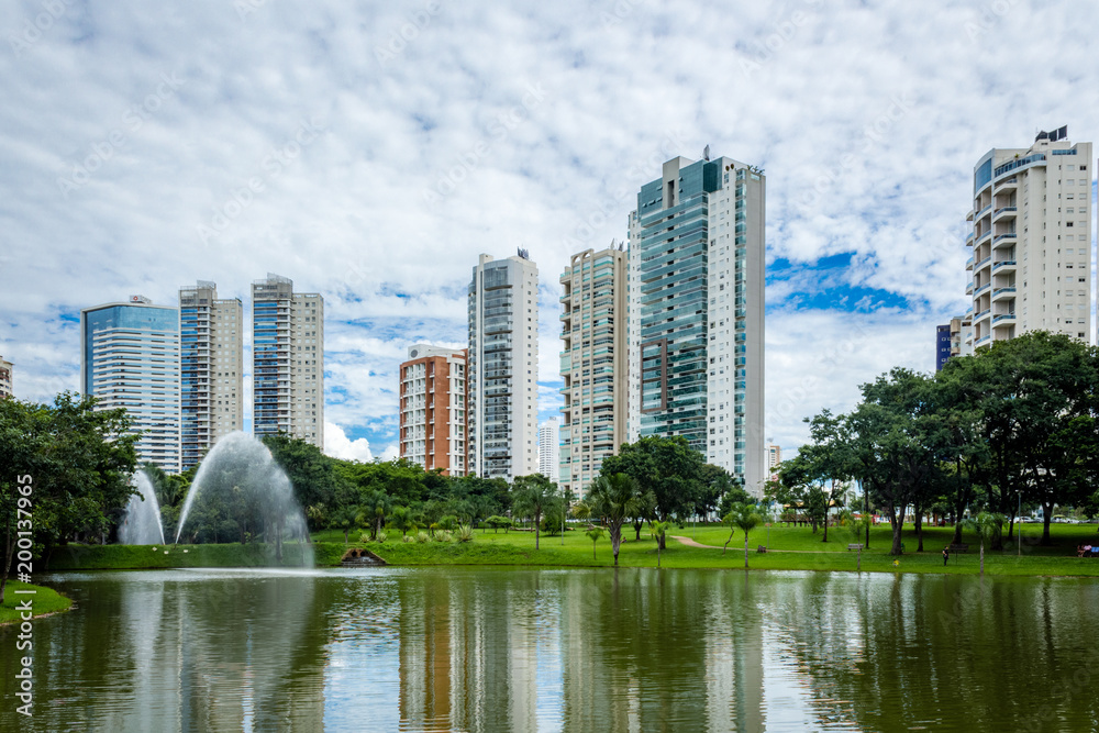 Fototapeta premium parque flamboyant