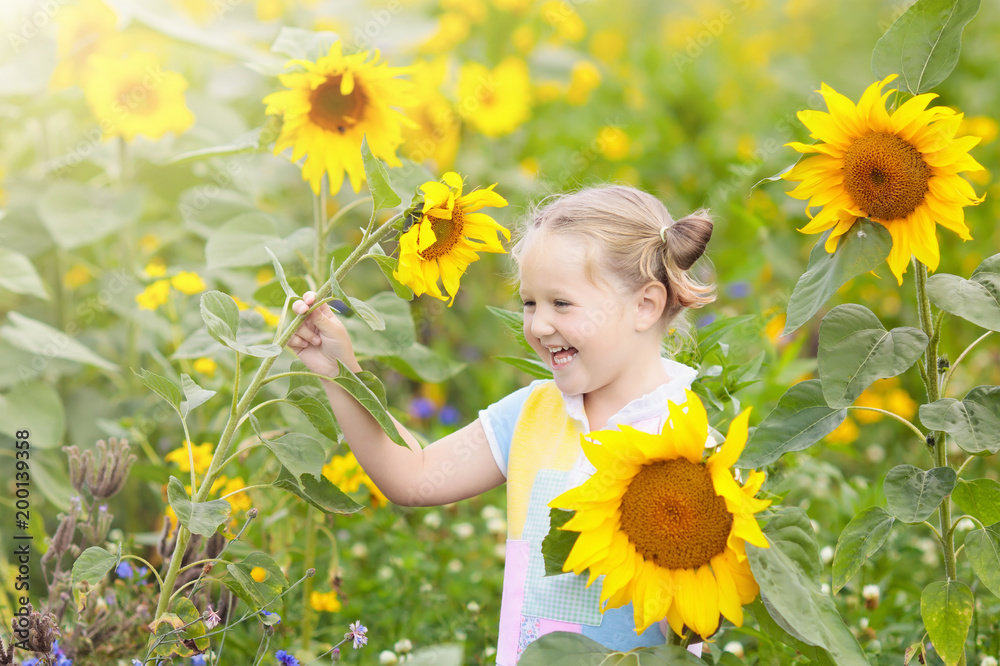 Child in sunflower field. Kids with sunflowers. Child in sunflower field. Kids with sunflowers.
