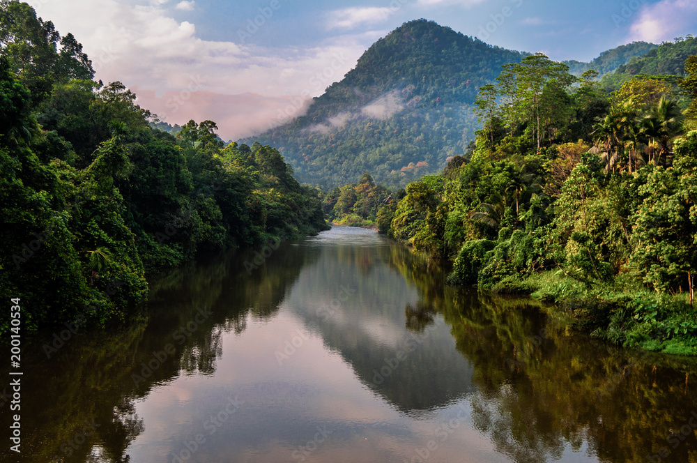 Tropical landscape in Sri lanka. Mountains, jungle and river.
