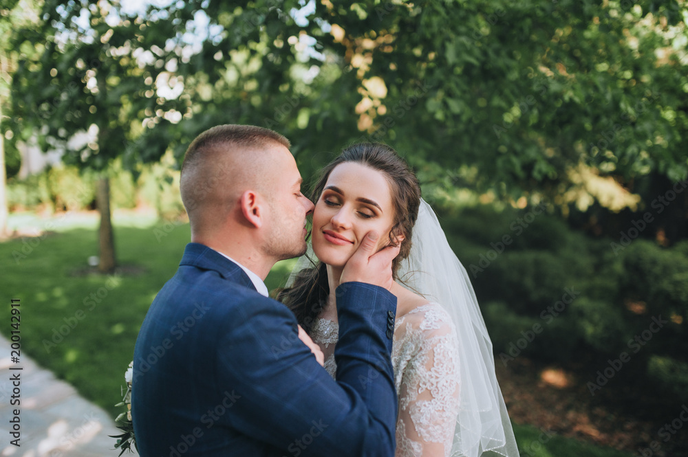 A young groom kisses a beautiful bride in a lace dress in a green park. Portrait of a newlywed couple. A young groom kisses a beautiful bride in a lace dress in a green park. Portrait of a newlywed couple.