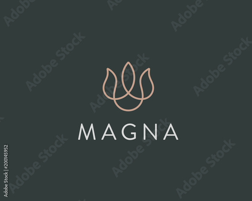 Fototapeta Naklejka Na Ścianę i Meble -  Abstract flower fire logotype. Line flame crown vector logo.