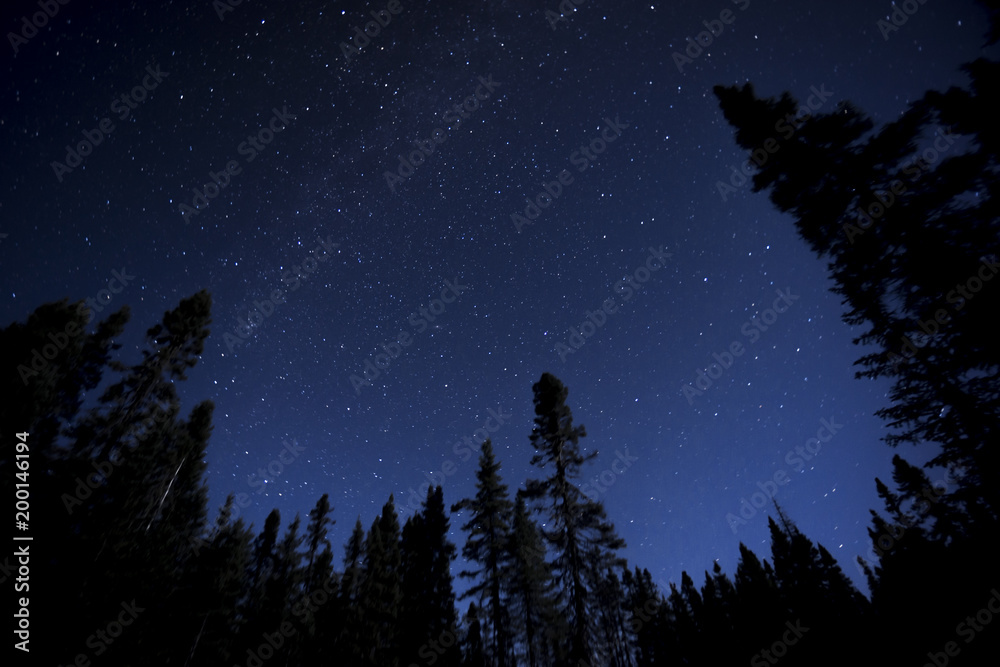 Naklejka premium Night sky