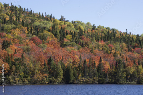 Autumn 2