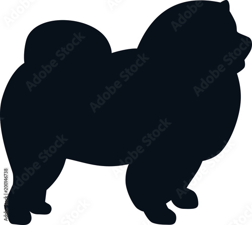 Chow-chow silhouette black