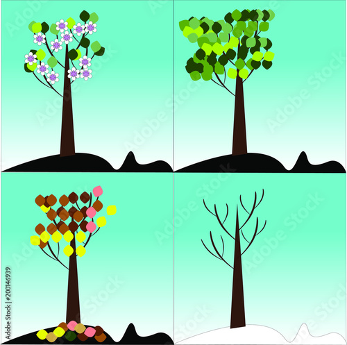 seasons