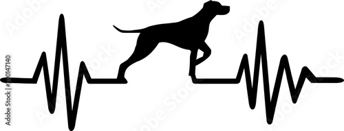 German shorthaired pointer heartbeat