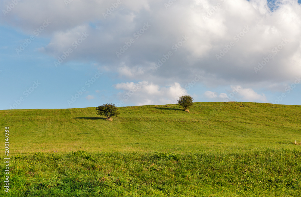 rural pasture landscape