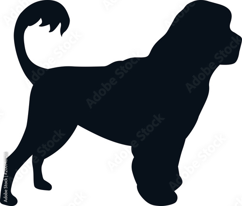 Cao de gua portugues silhouette black