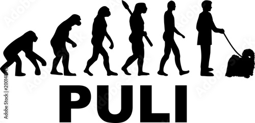 Puli evolution word