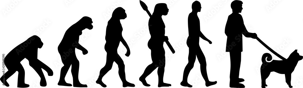 Shiba inu evolution