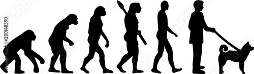 Shiba inu evolution