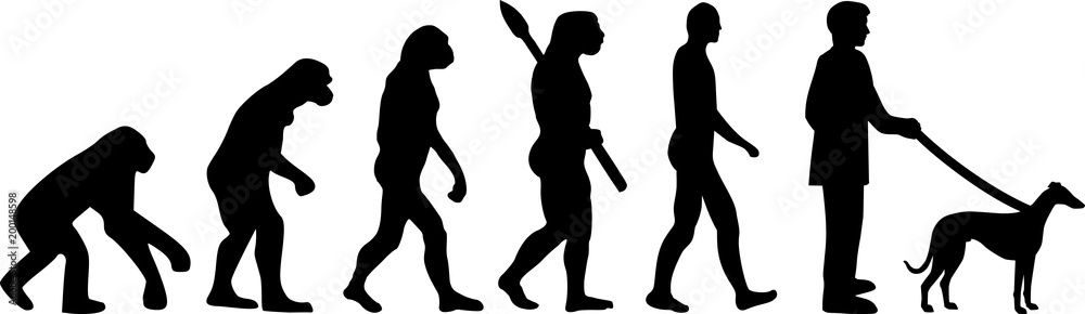Whippet evolution