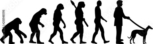 Whippet evolution