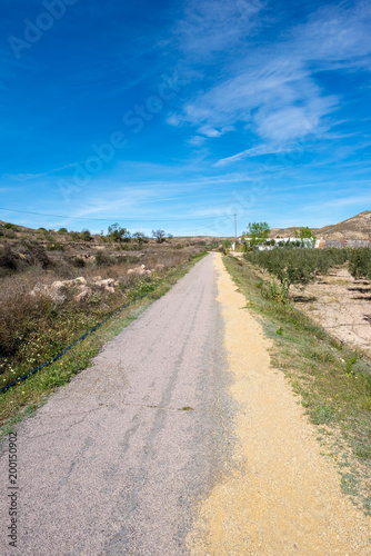 The green way of Lucainena under the blue sky in Almeria