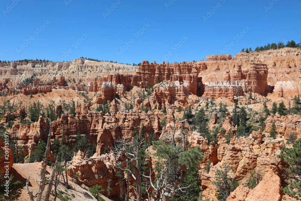 Rock Hoodoos im Bryce Canyon Nationalpark in Utah. USA Rock Hoodoos im Bryce Canyon Nationalpark in Utah. USA