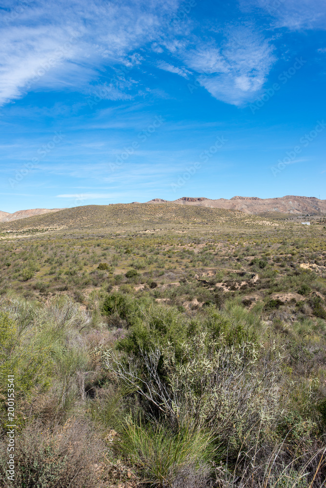 The green way of Lucainena under the blue sky in Almeria