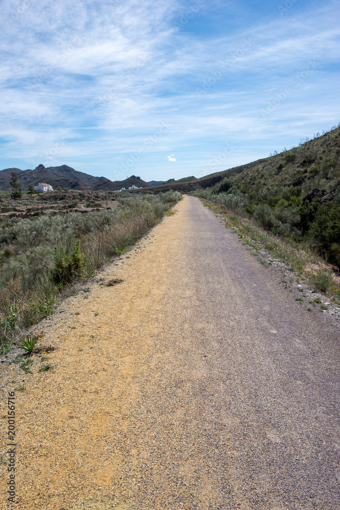 The green way of Lucainena under the blue sky in Almeria The green way of Lucainena under the blue sky in Almeria