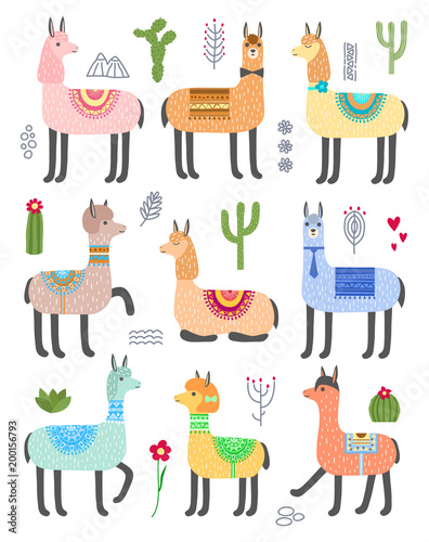 Set of cute llamas. Vector animal illustration. Alpacas and cacti.