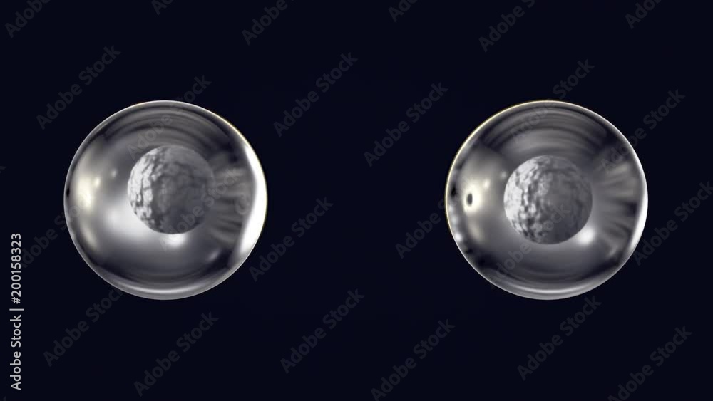 Cell Division Animation