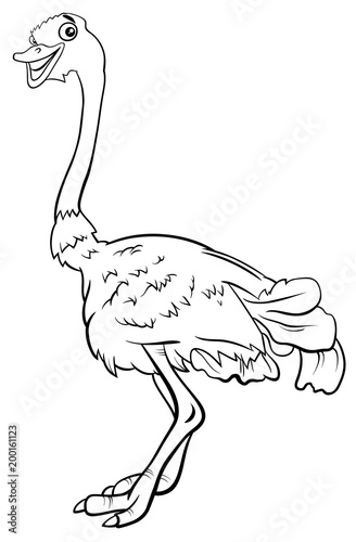 ostrich bird animal character cartoon coloring book