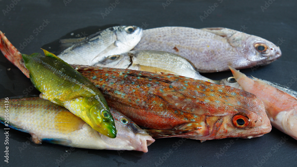sea fish raw
sea fish raw