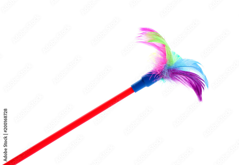 Feather wand for cat on white background. Pet toys Feather wand for cat on white background. Pet toys