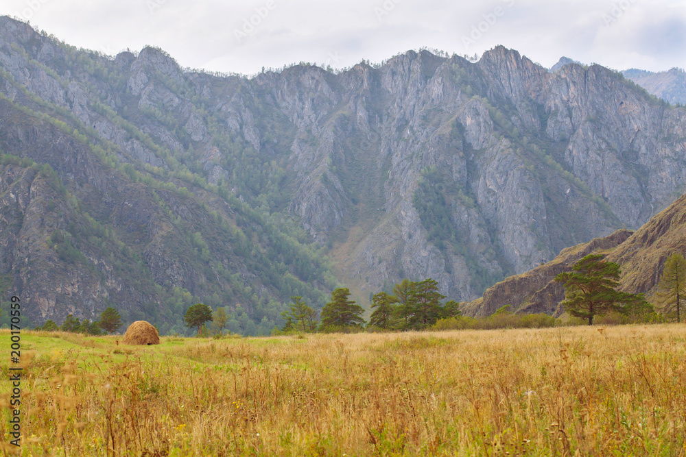 Landscape of the Altai mountains to Russia guidebook. Haystacks stand in a field in the Altai Mountains.