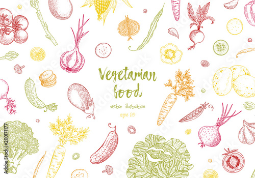 Organic food design template. Fresh colorful vegetables. Detailed vegetarian food drawing. Farm market product. Great for label, design menu, recipes, poster, packaging design, wrapping paper.