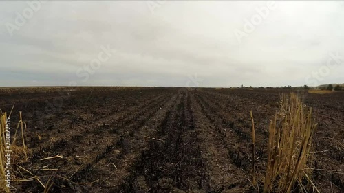 the camera moves over the field where the harvest was harvested. Slow motion.