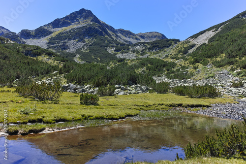 Amazing landscape with Valyavitsa river and Valyavishki chukar peak  Pirin Mountain  Bulgaria