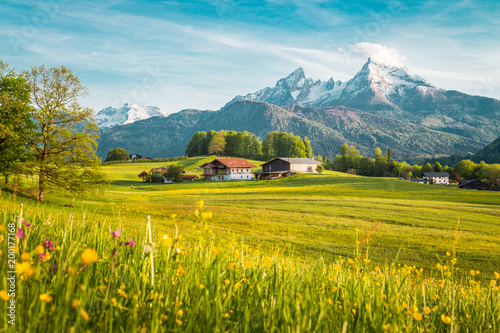 Obraz na płótnie Idyllic landscape in the Alps with blooming meadows in springtime w salonie