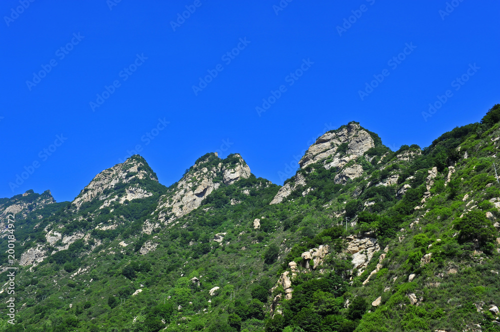 Summer mountain forest landscape