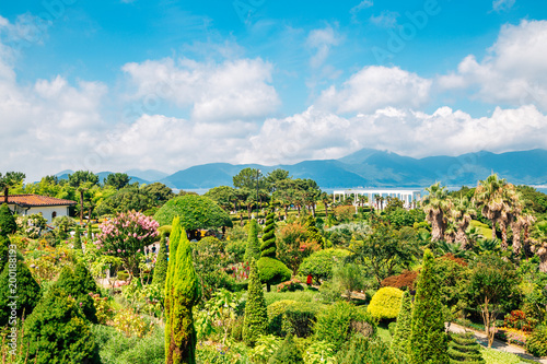 Obraz na płótnie Oedo-Botania island, garden scenery at summer day in Geoje, Korea w salonie