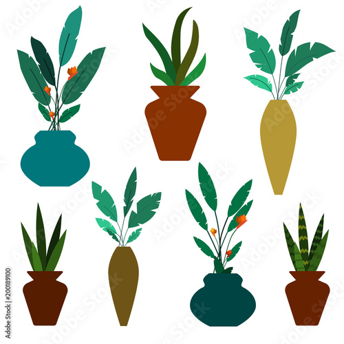set of green decorative house plants and flowers in vases vector illustration. Pot fake plant isolated on white