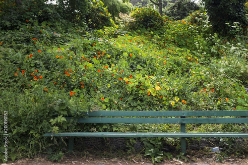 A bench covered with bushes and flowers