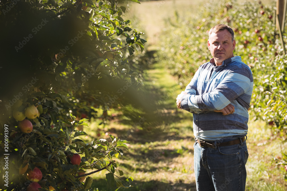Portrait of farmer standing with arms crossed in apple orchard Portrait of farmer standing with arms crossed in apple orchard