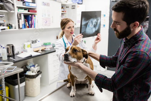 Man petting his dog while vet looking x-ray in background photo