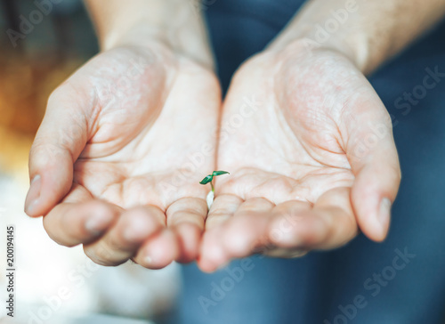 Very small sprout in man's hands at home