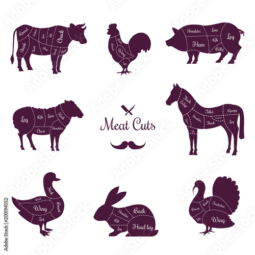 Meat cuts poster with named animals body parts