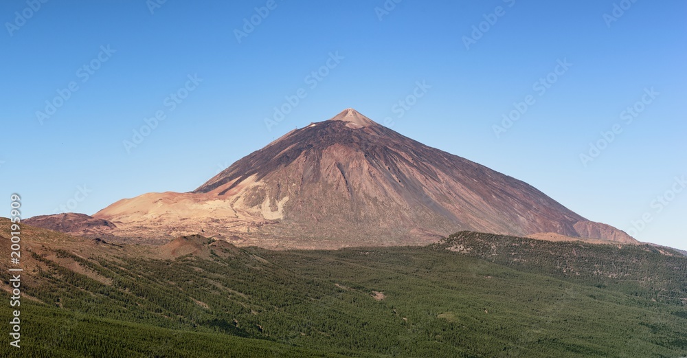 Tenerife, volcano Teide, view from pine forest