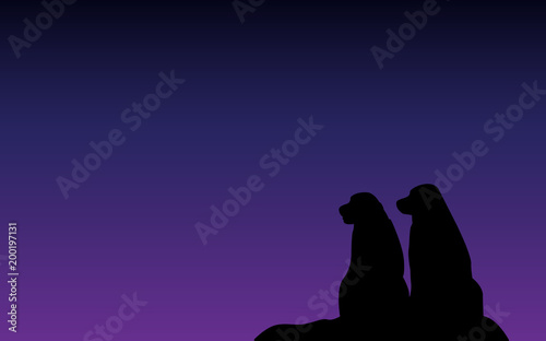 Two dog sitting and waiting for something silhouette on night background, vector illustration